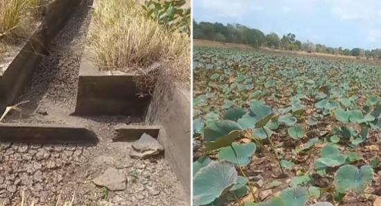 68,041 People Affected By Dry Weather Conditions